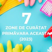 7 Zone de curatat primavara aceasta