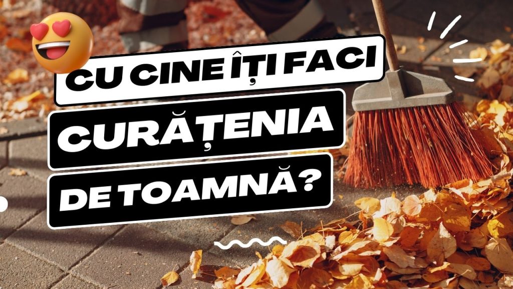 Pe tine cine te ajută la curățenia de toamnă?