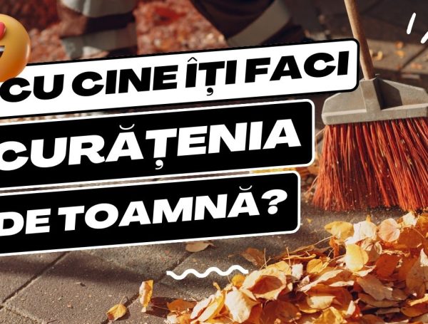 Pe tine cine te ajută la curățenia de toamnă?